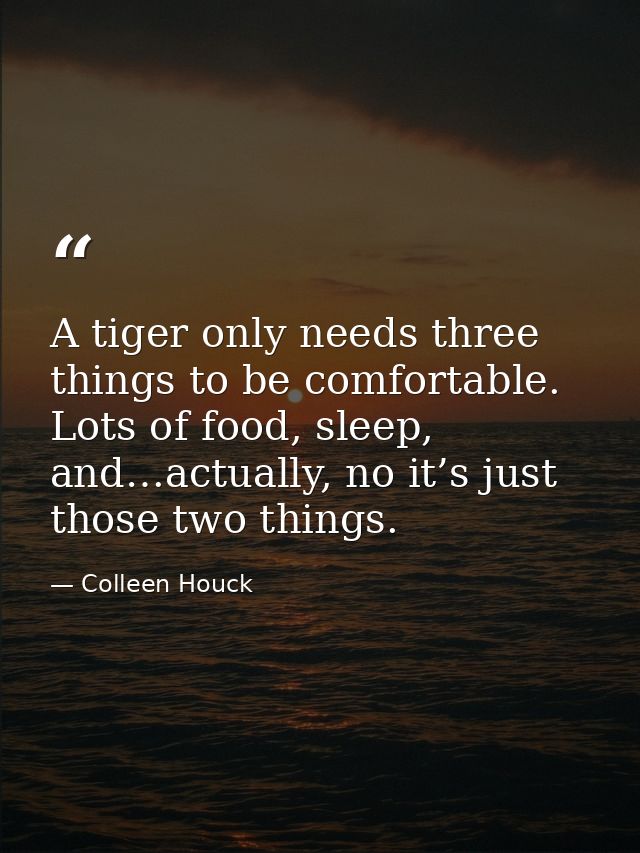 A tiger only needs three things to be comfortable. Lots of food, sleep, and…actually, no it’s just those two things. — Colleen Houck