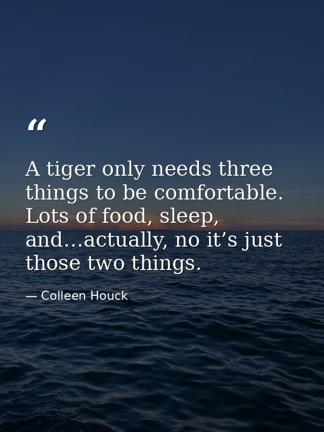 A tiger only needs three things to be comfortable. Lots of food, sleep, and…actually, no it’s just those two things. — Colleen Houck