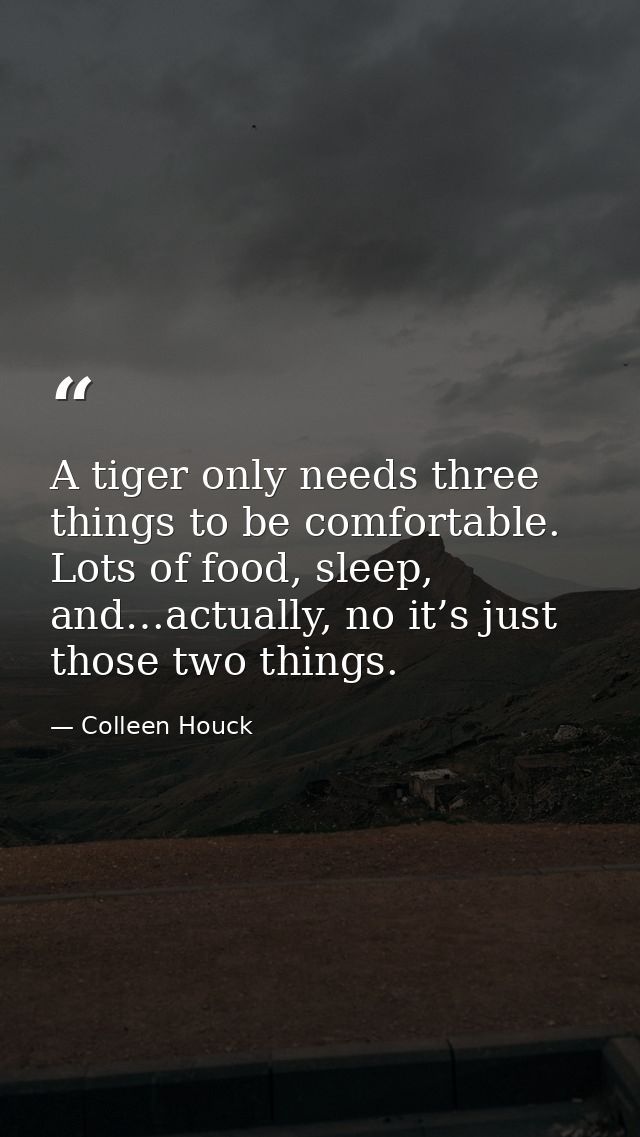 A tiger only needs three things to be comfortable. Lots of food, sleep, and…actually, no it’s just those two things. — Colleen Houck