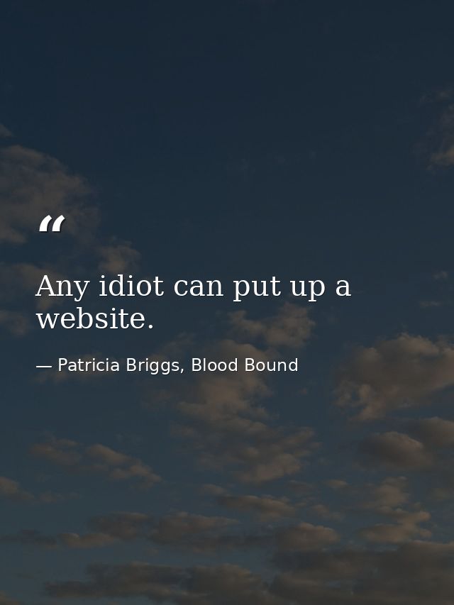 Any idiot can put up a website. — Patricia Briggs, Blood Bound