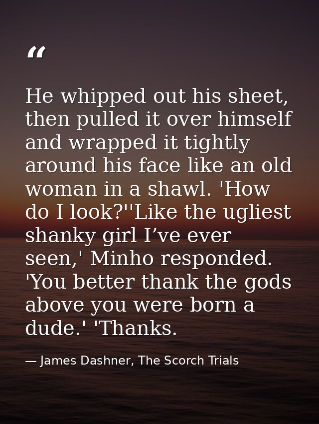 He whipped out his sheet, then pulled it over himself and wrapped it tightly around his face like an old woman in a shaw — James Dashner, The Scorch Trials