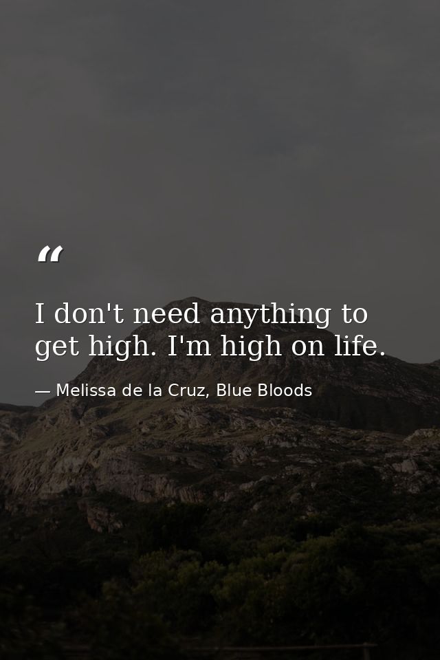 I don't need anything to get high. I'm high on life. — Melissa de la Cruz, Blue Bloods