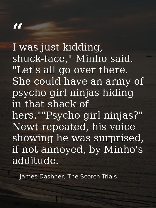I was just kidding, shuck-face," Minho said. "Let's all go over there. She could have an army of psycho girl ninjas hidi — James Dashner, The Scorch Trials