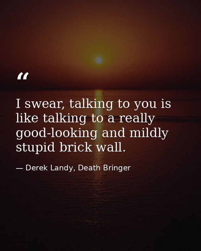 I swear, talking to you is like talking to a really good-looking and mildly stupid brick wall. — Derek Landy, Death Bringer