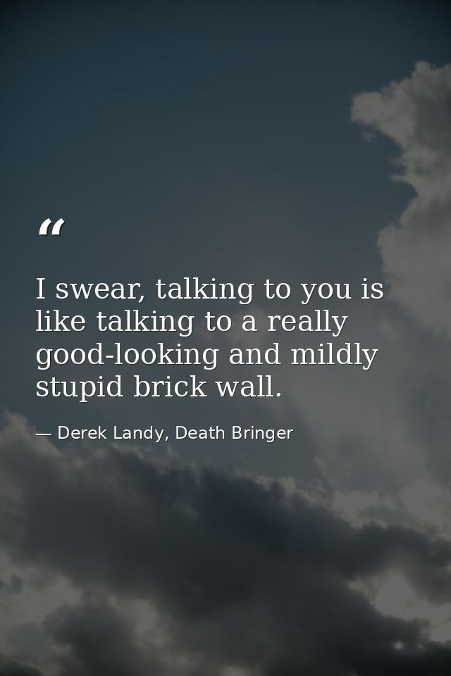 I swear, talking to you is like talking to a really good-looking and mildly stupid brick wall. — Derek Landy, Death Bringer