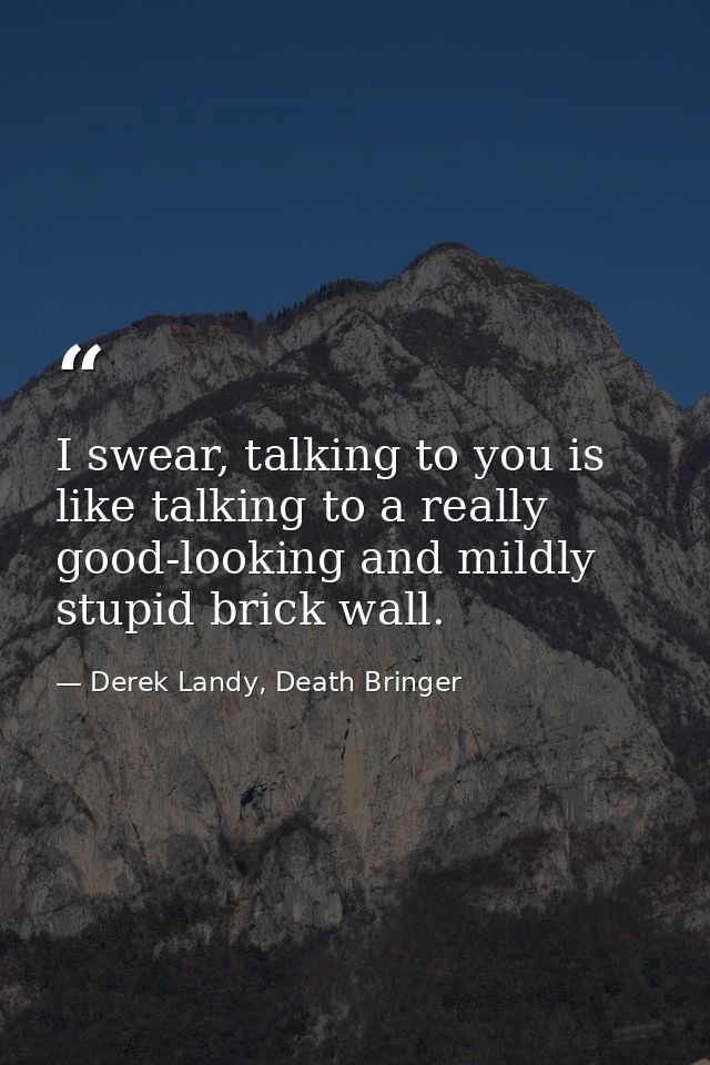 I swear, talking to you is like talking to a really good-looking and mildly stupid brick wall. — Derek Landy, Death Bringer