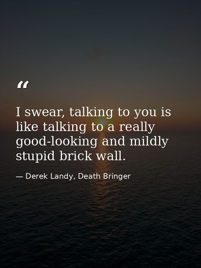 I swear, talking to you is like talking to a really good-looking and mildly stupid brick wall. — Derek Landy, Death Bringer