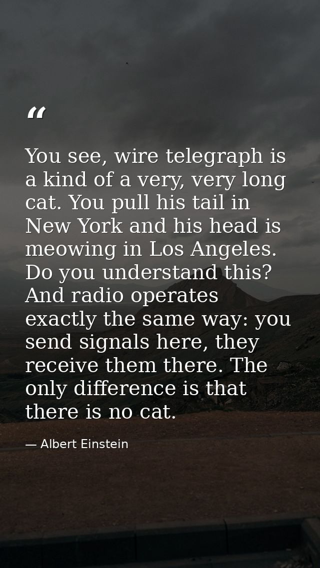 You see, wire telegraph is a kind of a very, very long cat. You pull his tail in New York and his head is meowing in Los — Albert Einstein