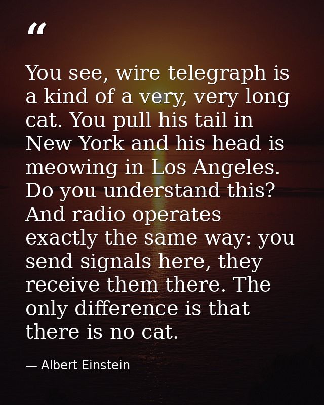 You see, wire telegraph is a kind of a very, very long cat. You pull his tail in New York and his head is meowing in Los — Albert Einstein