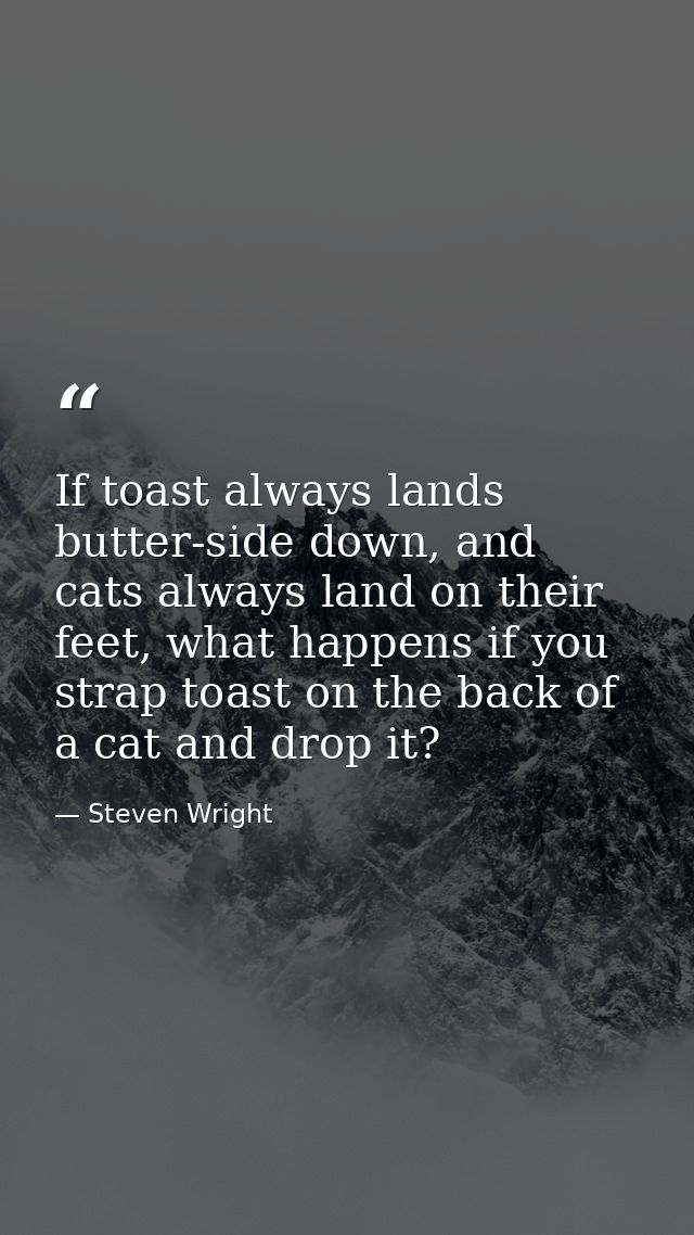 If toast always lands butter-side down, and cats always land on their feet, what happens if you strap toast on the back  — Steven Wright