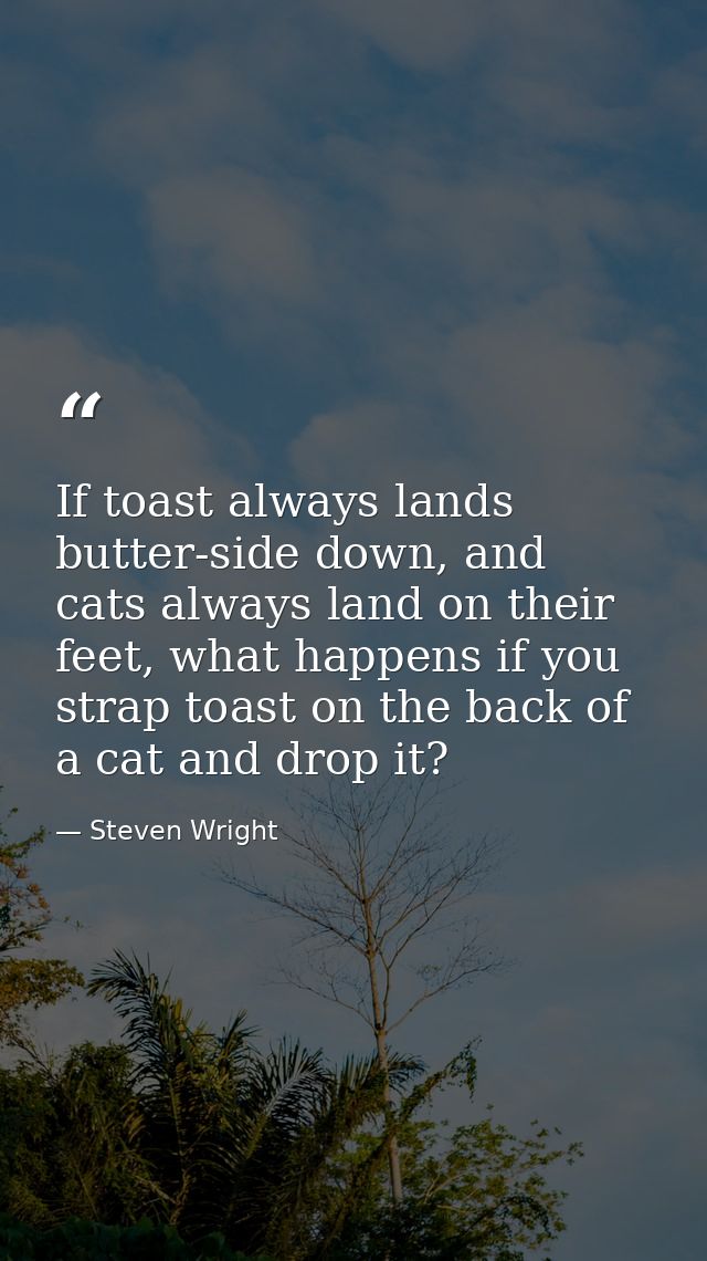 If toast always lands butter-side down, and cats always land on their feet, what happens if you strap toast on the back  — Steven Wright