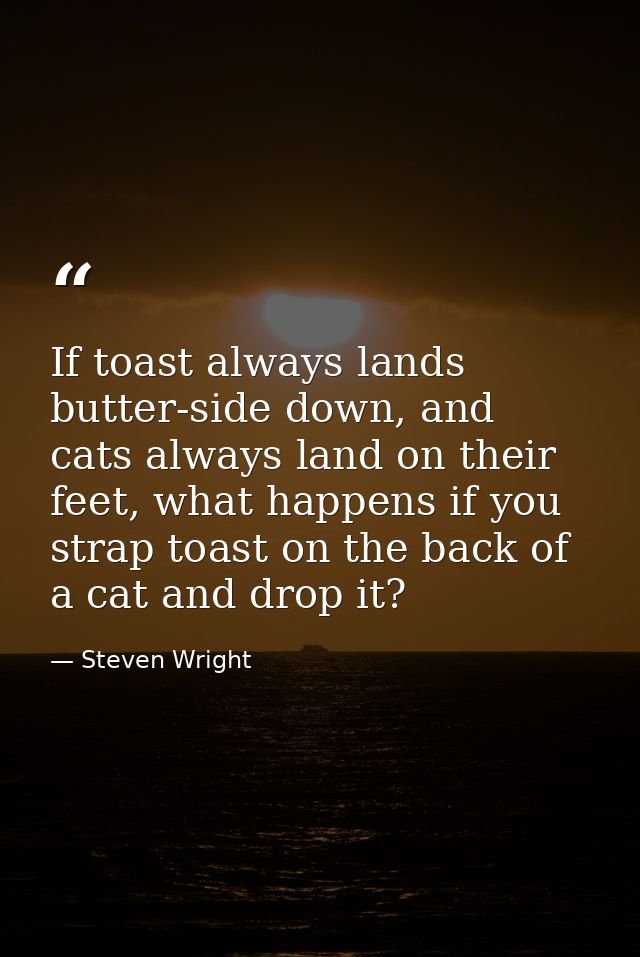 If toast always lands butter-side down, and cats always land on their feet, what happens if you strap toast on the back  — Steven Wright