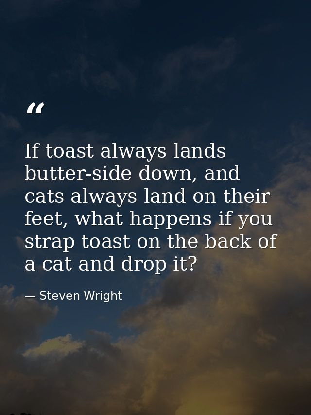If toast always lands butter-side down, and cats always land on their feet, what happens if you strap toast on the back  — Steven Wright