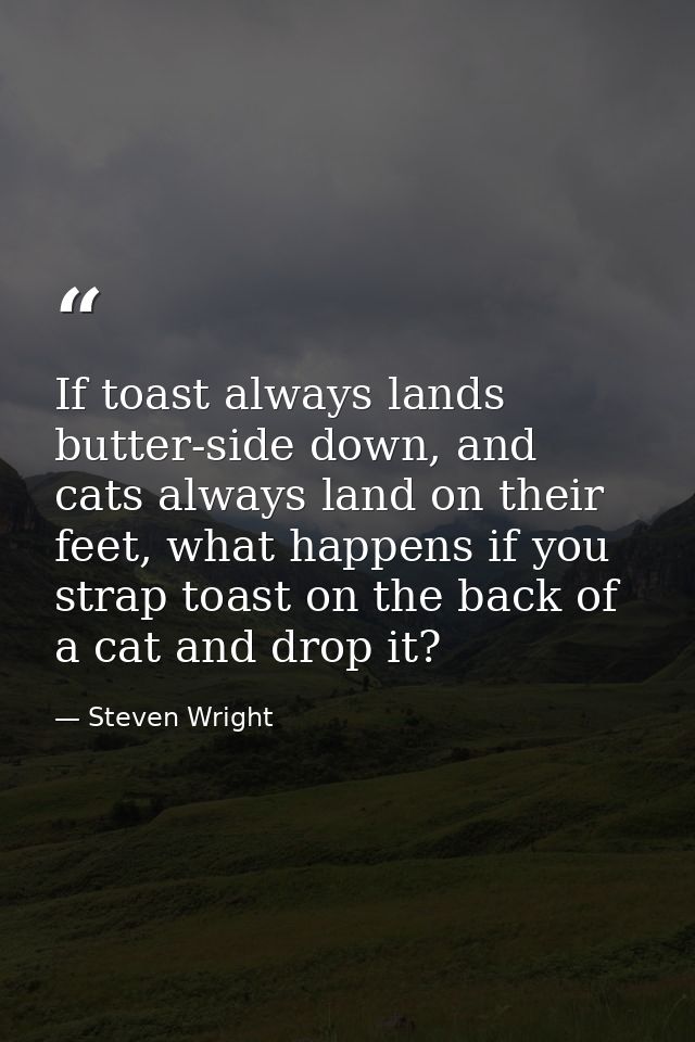 If toast always lands butter-side down, and cats always land on their feet, what happens if you strap toast on the back  — Steven Wright