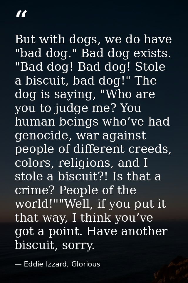 But with dogs, we do have "bad dog." Bad dog exists. "Bad dog! Bad dog! Stole a biscuit, bad dog!" The dog is saying, "W — Eddie Izzard, Glorious