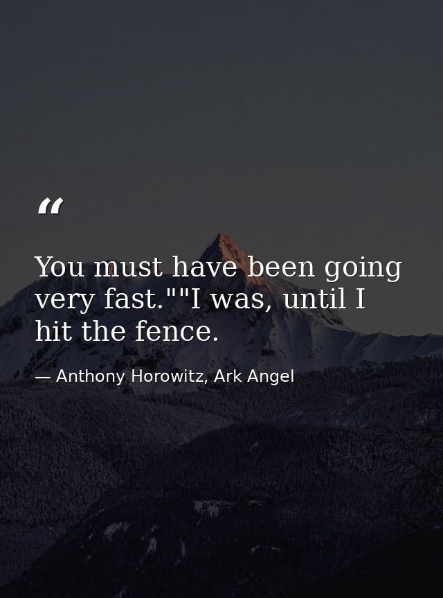 You must have been going very fast.""I was, until I hit the fence. — Anthony Horowitz, Ark Angel
