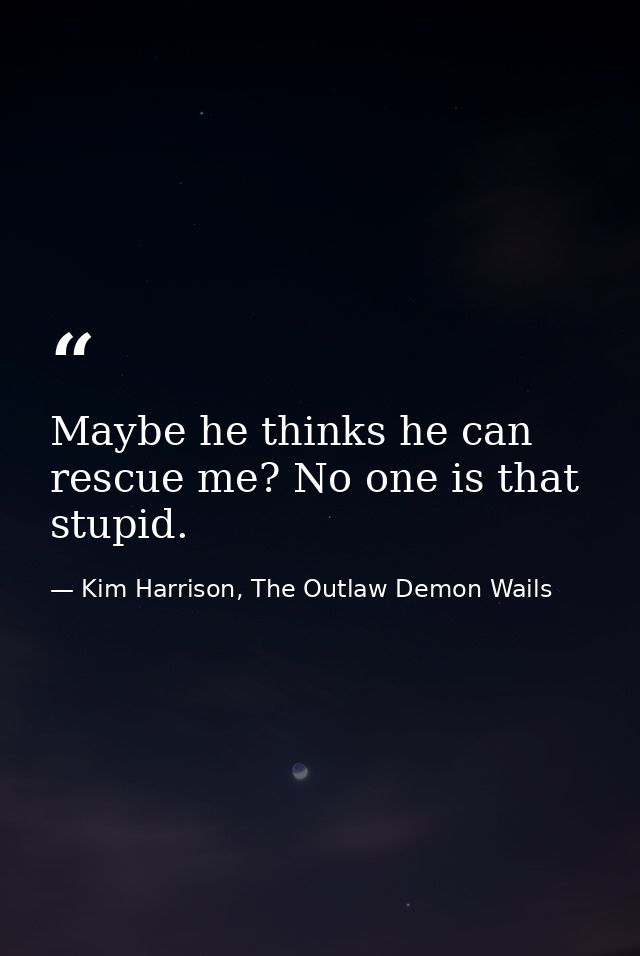 Maybe he thinks he can rescue me? No one is that stupid. — Kim Harrison, The Outlaw Demon Wails