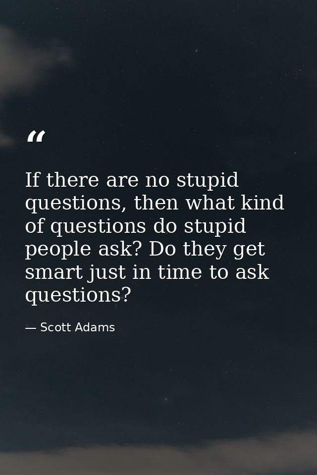 If there are no stupid questions, then what kind of questions do stupid people ask? Do they get smart just in time to as — Scott Adams