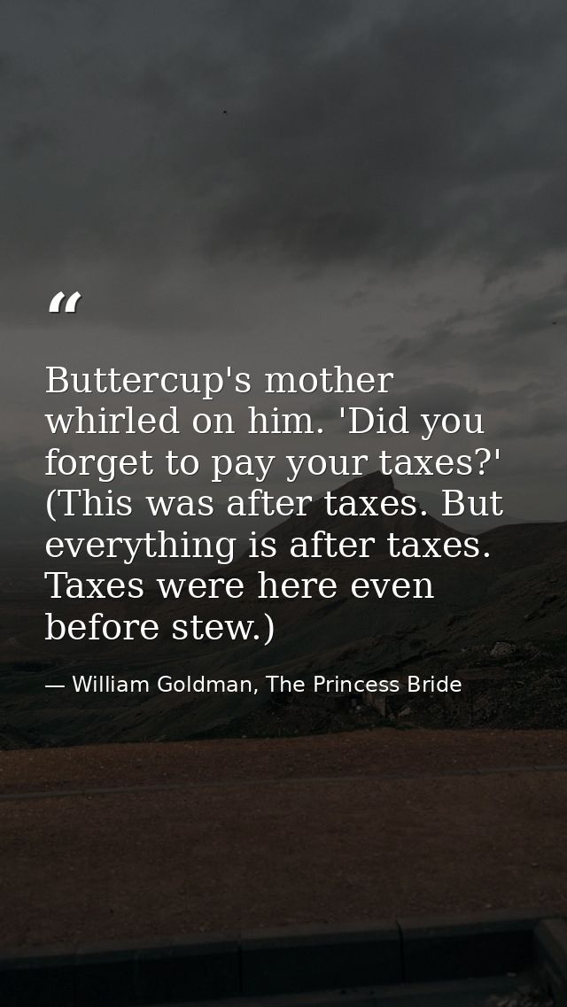 Buttercup's mother whirled on him. 'Did you forget to pay your taxes?' (This was after taxes. But everything is after ta — William Goldman, The Princess Bride