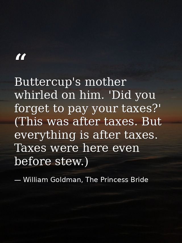 Buttercup's mother whirled on him. 'Did you forget to pay your taxes?' (This was after taxes. But everything is after ta — William Goldman, The Princess Bride