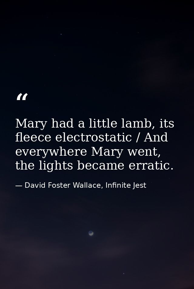 Mary had a little lamb, its fleece electrostatic / And everywhere Mary went, the lights became erratic. — David Foster Wallace, Infinite Jest
