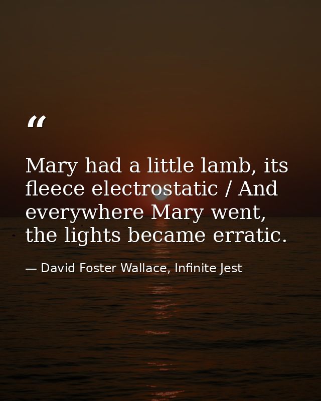 Mary had a little lamb, its fleece electrostatic / And everywhere Mary went, the lights became erratic. — David Foster Wallace, Infinite Jest