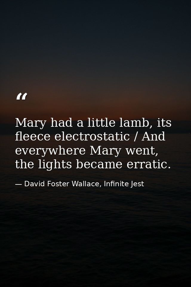 Mary had a little lamb, its fleece electrostatic / And everywhere Mary went, the lights became erratic. — David Foster Wallace, Infinite Jest