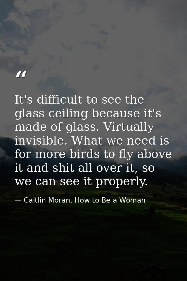 It's difficult to see the glass ceiling because it's made of glass. Virtually invisible. What we need is for more birds  — Caitlin Moran, How to Be a Woman