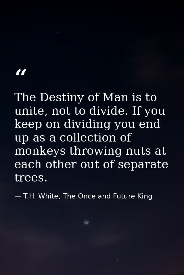 The Destiny of Man is to unite, not to divide. If you keep on dividing you end up as a collection of monkeys throwing nu — T.H. White, The Once and Future King