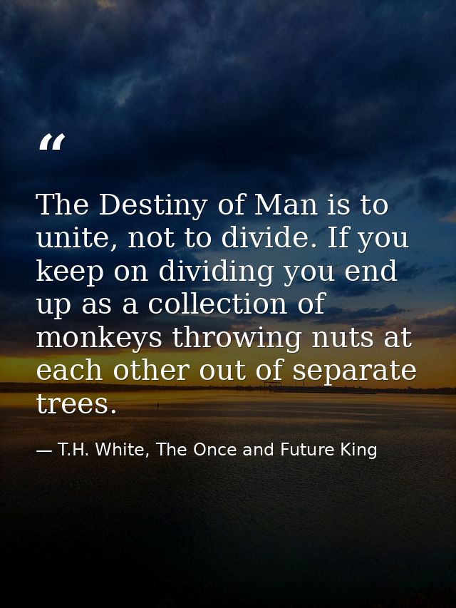 The Destiny of Man is to unite, not to divide. If you keep on dividing you end up as a collection of monkeys throwing nu — T.H. White, The Once and Future King