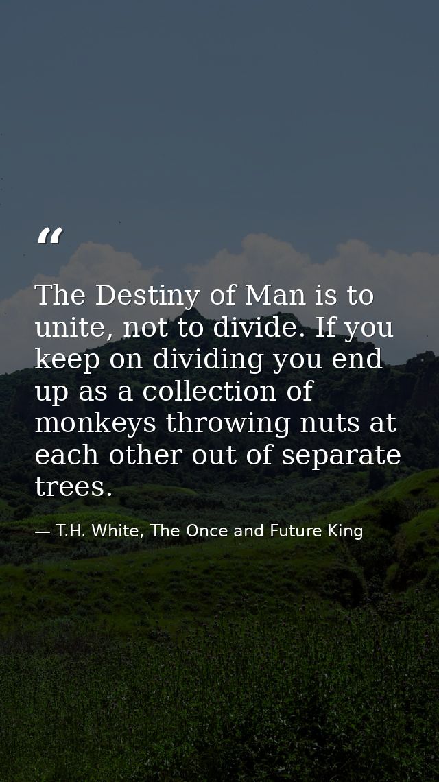 The Destiny of Man is to unite, not to divide. If you keep on dividing you end up as a collection of monkeys throwing nu — T.H. White, The Once and Future King