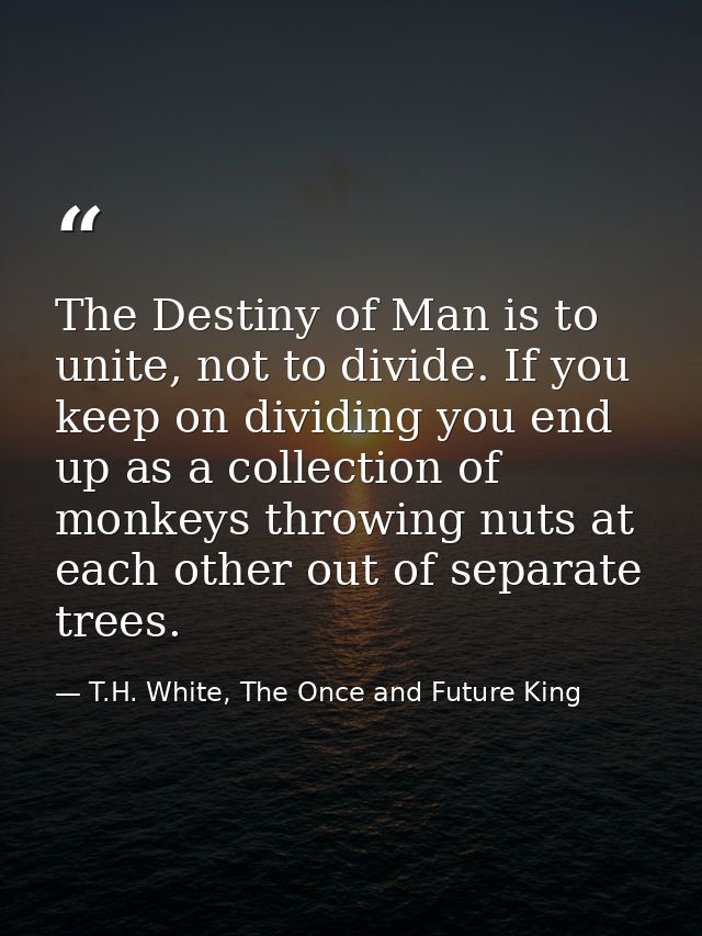The Destiny of Man is to unite, not to divide. If you keep on dividing you end up as a collection of monkeys throwing nu — T.H. White, The Once and Future King