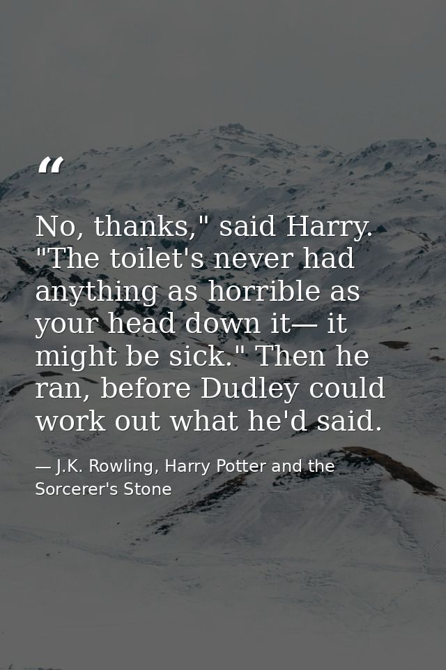 No, thanks," said Harry. "The toilet's never had anything as horrible as your head down it— it might be sick." Then he r — J.K. Rowling, Harry Potter and the Sorcerer's Stone