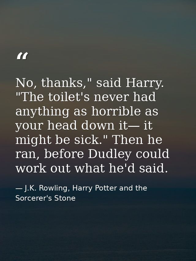 No, thanks," said Harry. "The toilet's never had anything as horrible as your head down it— it might be sick." Then he r — J.K. Rowling, Harry Potter and the Sorcerer's Stone