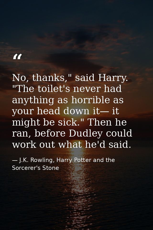 No, thanks," said Harry. "The toilet's never had anything as horrible as your head down it— it might be sick." Then he r — J.K. Rowling, Harry Potter and the Sorcerer's Stone