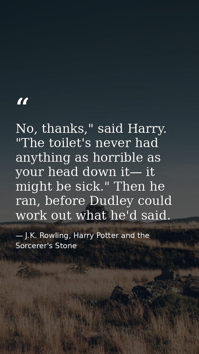 No, thanks," said Harry. "The toilet's never had anything as horrible as your head down it— it might be sick." Then he r — J.K. Rowling, Harry Potter and the Sorcerer's Stone