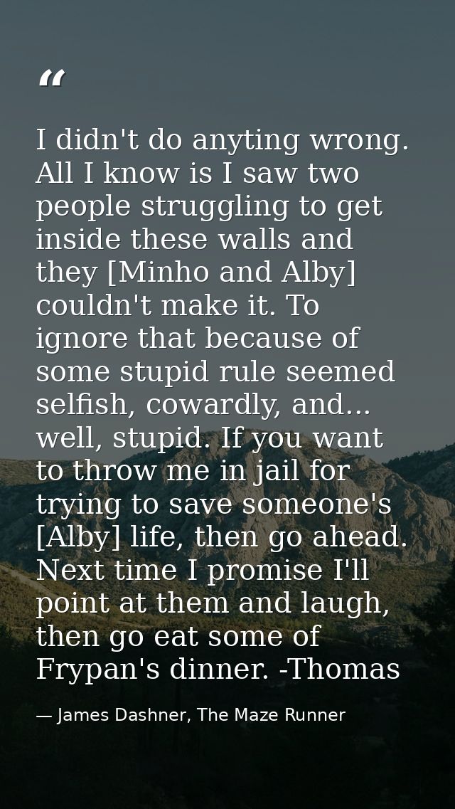 I didn't do anyting wrong. All I know is I saw two people struggling to get inside these walls and they [Minho and Alby] — James Dashner, The Maze Runner