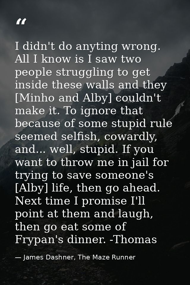 I didn't do anyting wrong. All I know is I saw two people struggling to get inside these walls and they [Minho and Alby] — James Dashner, The Maze Runner