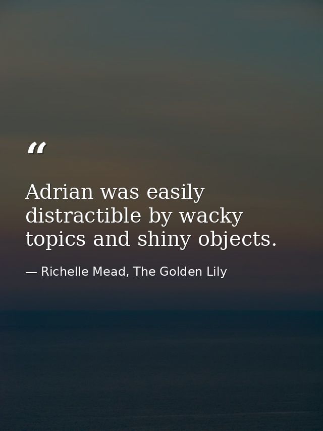 Adrian was easily distractible by wacky topics and shiny objects. — Richelle Mead, The Golden Lily