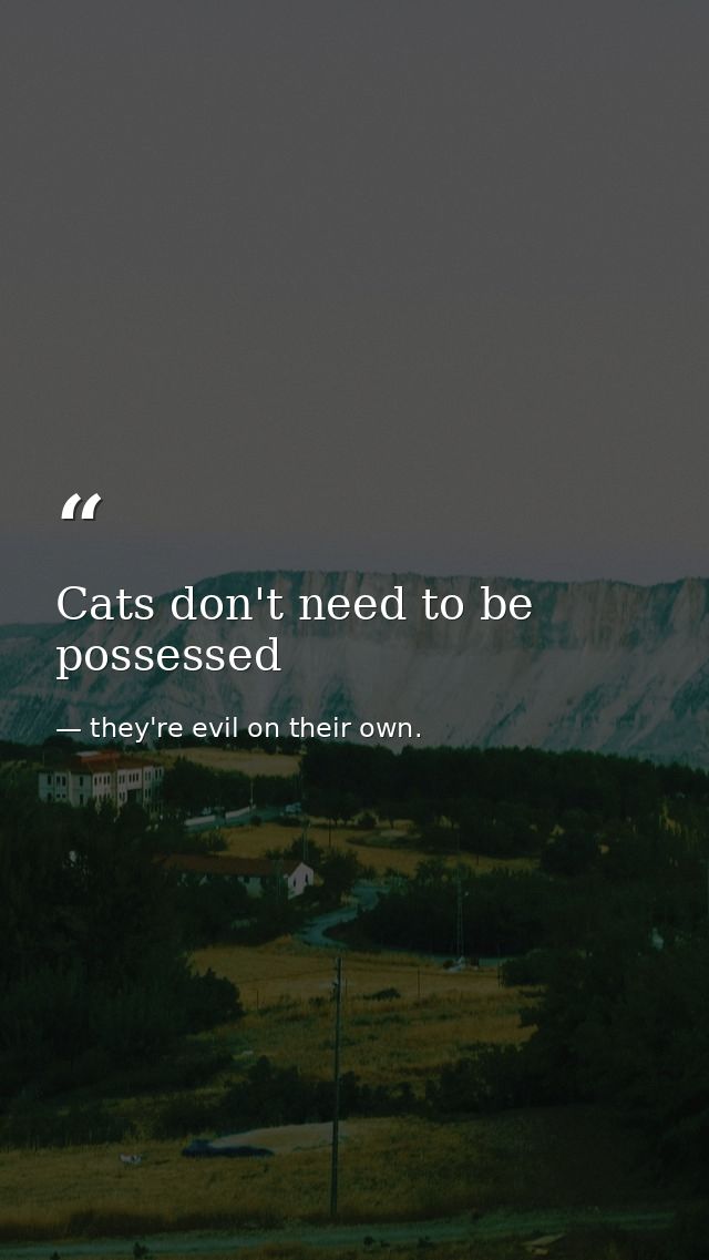 Cats don't need to be possessed — they're evil on their own.