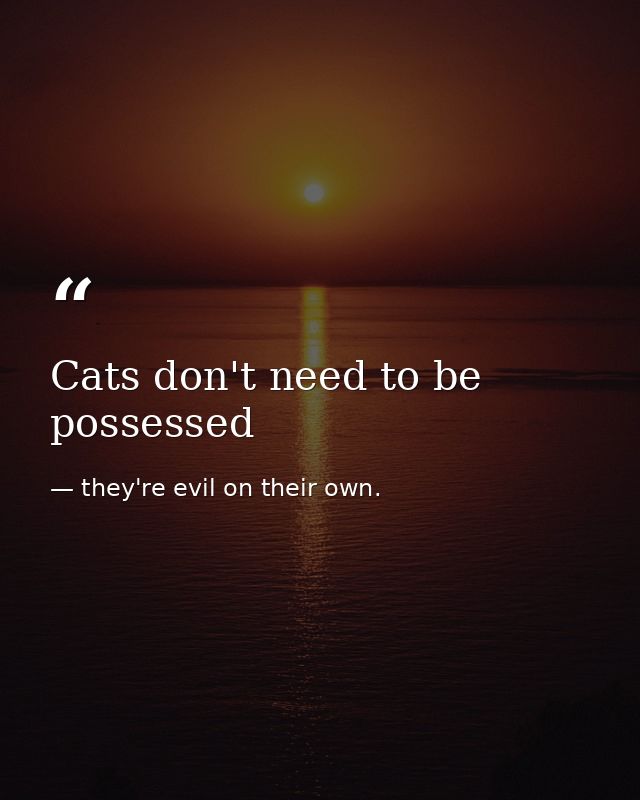 Cats don't need to be possessed — they're evil on their own.