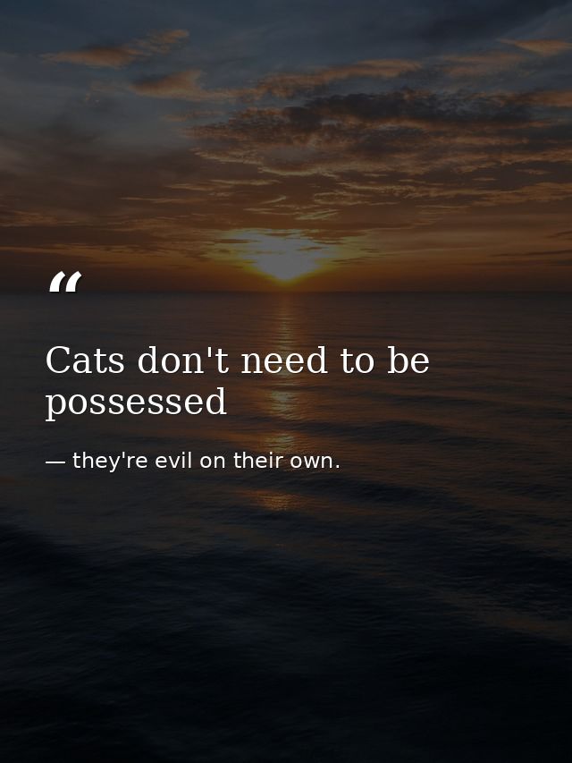 Cats don't need to be possessed — they're evil on their own.