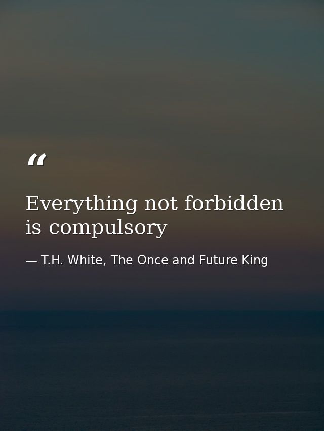 Everything not forbidden is compulsory — T.H. White, The Once and Future King
