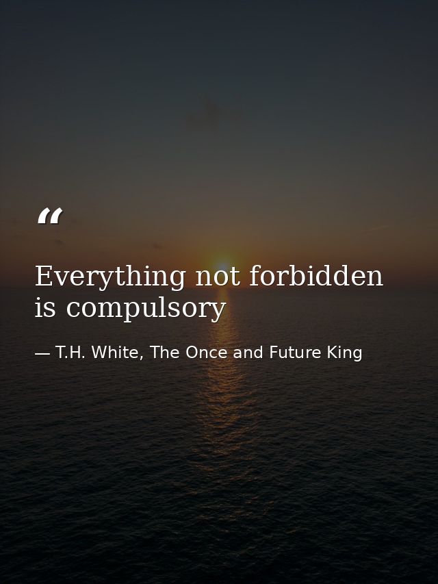 Everything not forbidden is compulsory — T.H. White, The Once and Future King