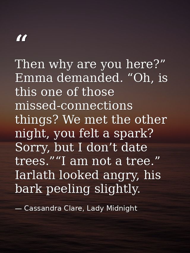 Then why are you here?” Emma demanded. “Oh, is this one of those missed-connections things? We met the other night, you  — Cassandra Clare, Lady Midnight