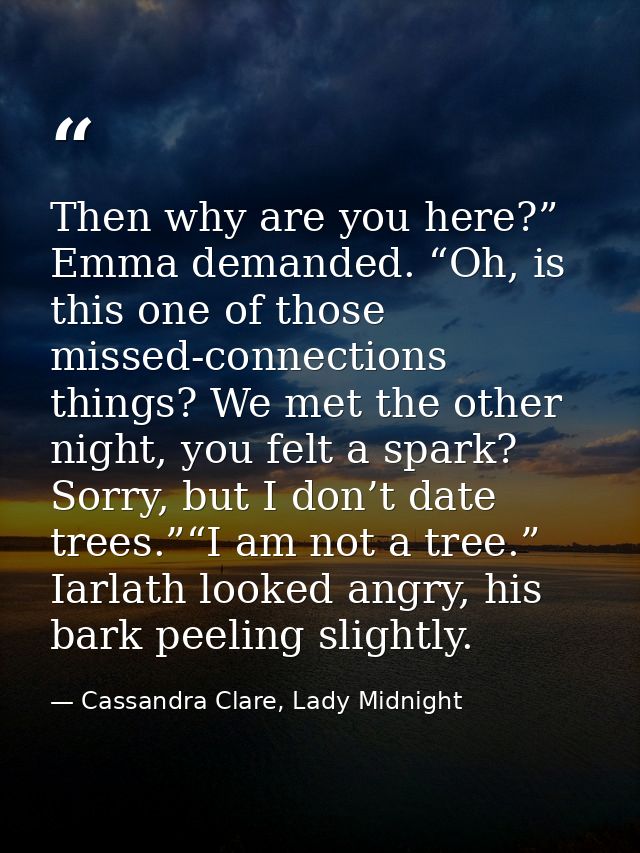 Then why are you here?” Emma demanded. “Oh, is this one of those missed-connections things? We met the other night, you  — Cassandra Clare, Lady Midnight