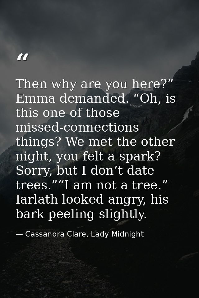 Then why are you here?” Emma demanded. “Oh, is this one of those missed-connections things? We met the other night, you  — Cassandra Clare, Lady Midnight