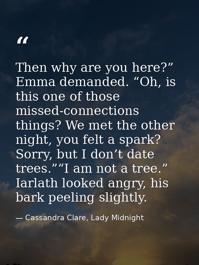 Then why are you here?” Emma demanded. “Oh, is this one of those missed-connections things? We met the other night, you  — Cassandra Clare, Lady Midnight