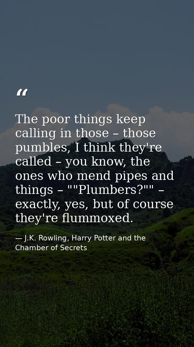 The poor things keep calling in those – those pumbles, I think they're called – you know, the ones who mend pipes and th — J.K. Rowling, Harry Potter and the Chamber of Secrets