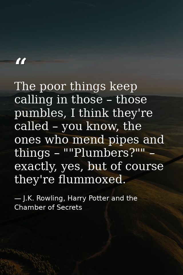 The poor things keep calling in those – those pumbles, I think they're called – you know, the ones who mend pipes and th — J.K. Rowling, Harry Potter and the Chamber of Secrets
